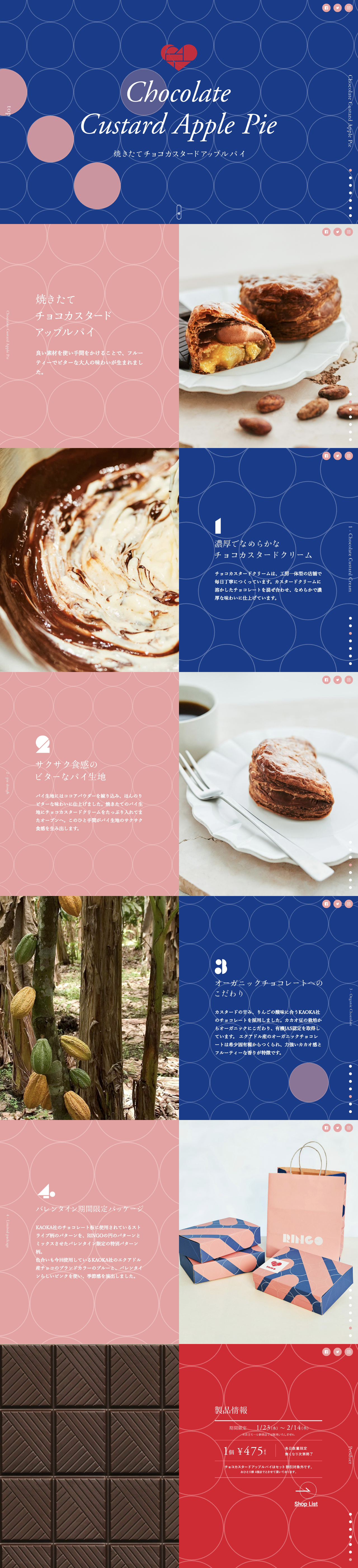 Chocolate Custard Apple Pie